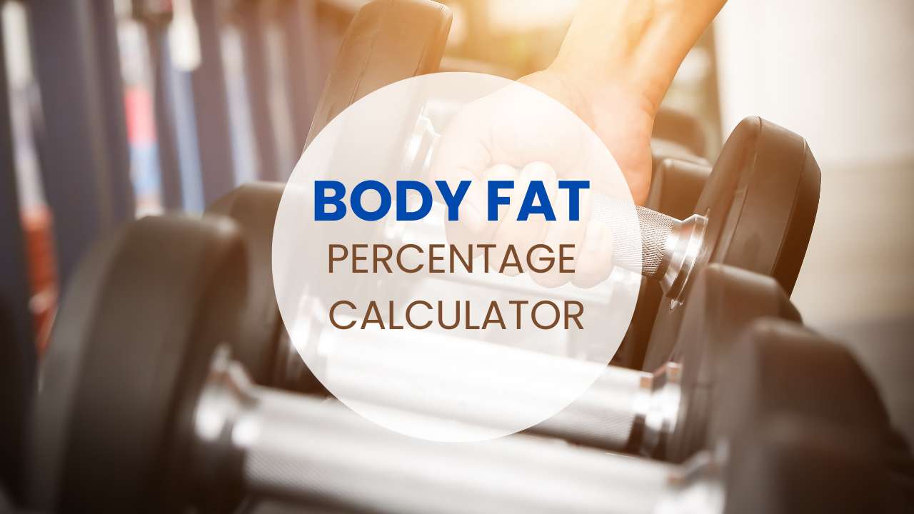 Body Fat Percentage Calculator